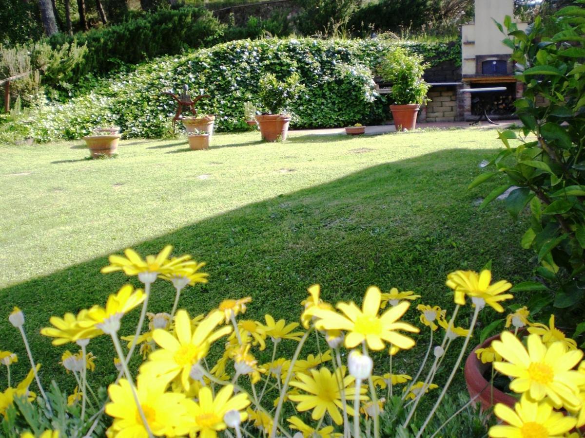 Agriturismo Santa Barbara San Miniato Extérieur photo